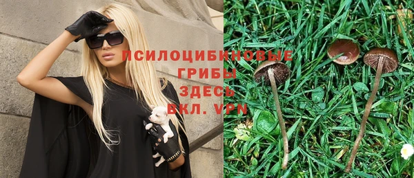 метадон Армянск