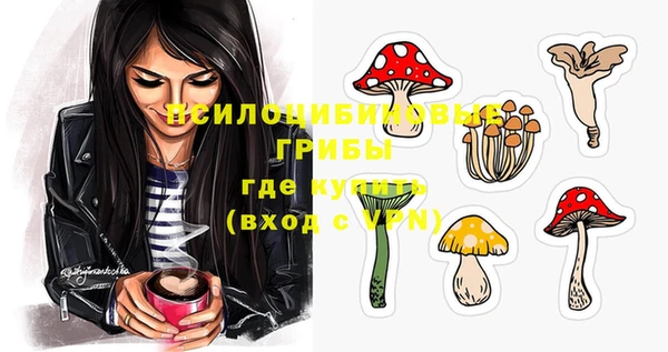 винт Арсеньев
